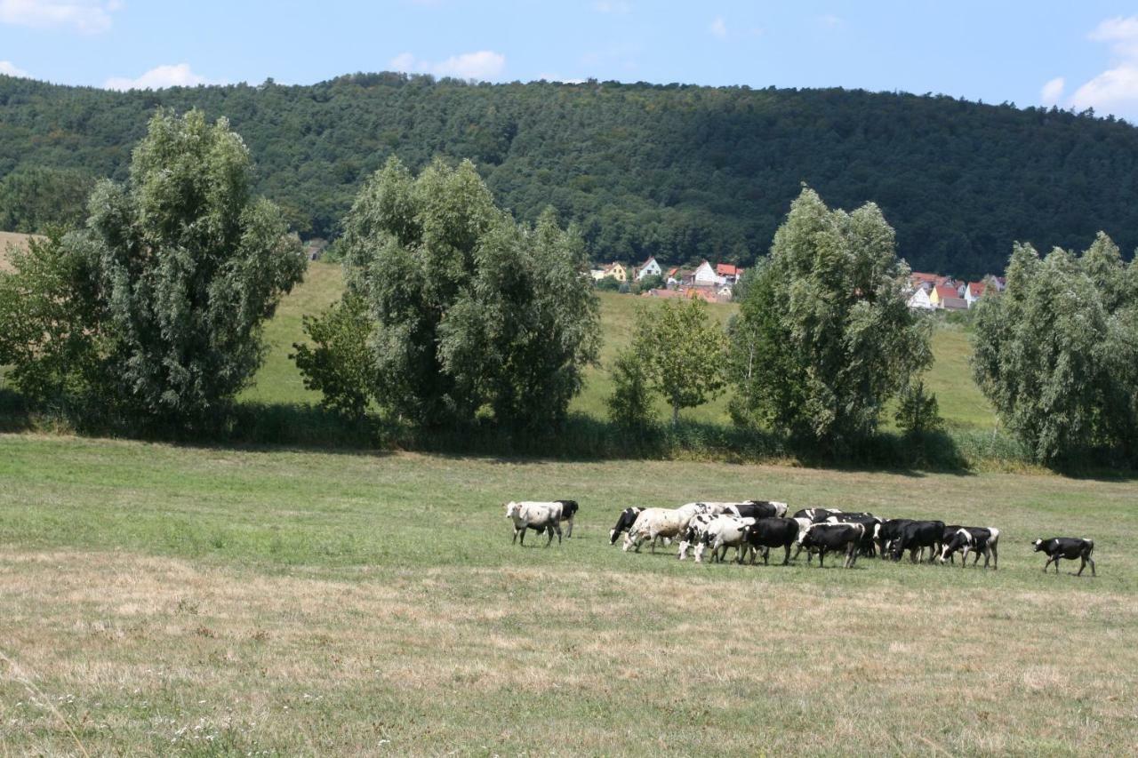 La Ferme De Georges Apt 1 A 6 Pers Bischholtz Zewnętrze zdjęcie